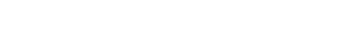 Logo stone login